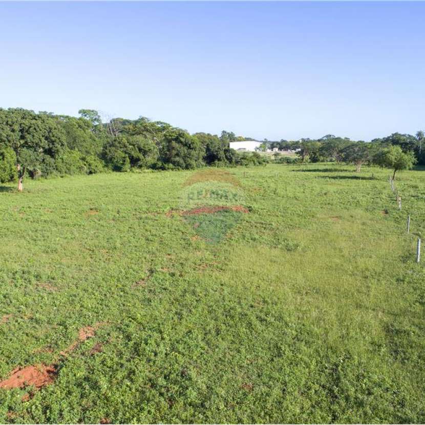 Imagen 2 de Terreno de 3 hectáreas en zona estratégica de Luque
