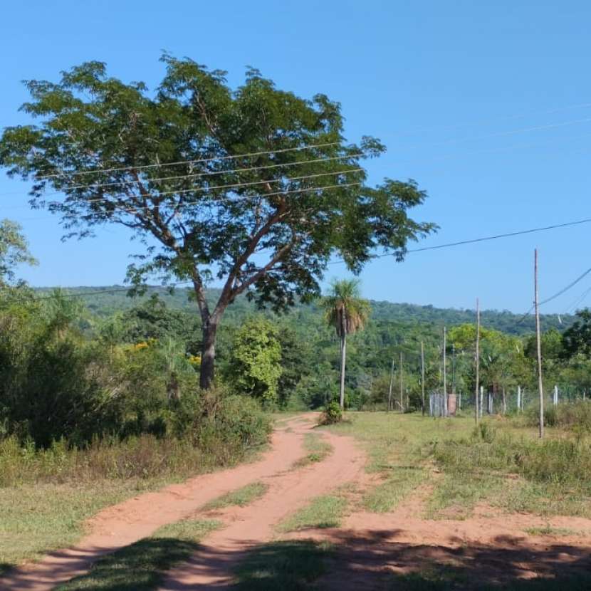 Imagen 3 de Terreno en Altos