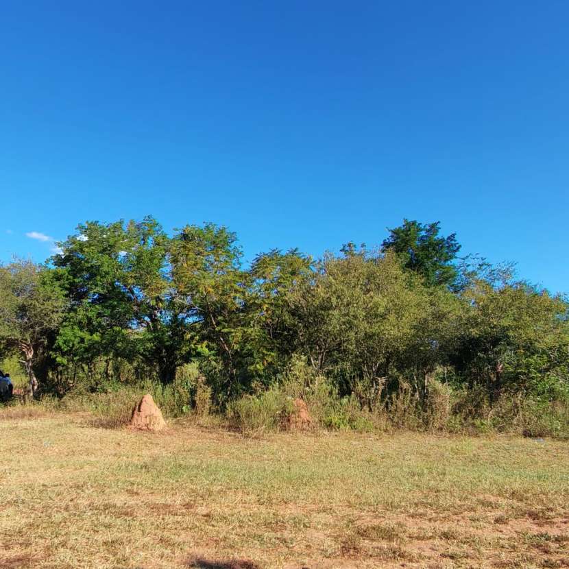 Imagen 2 de Terreno en Altos