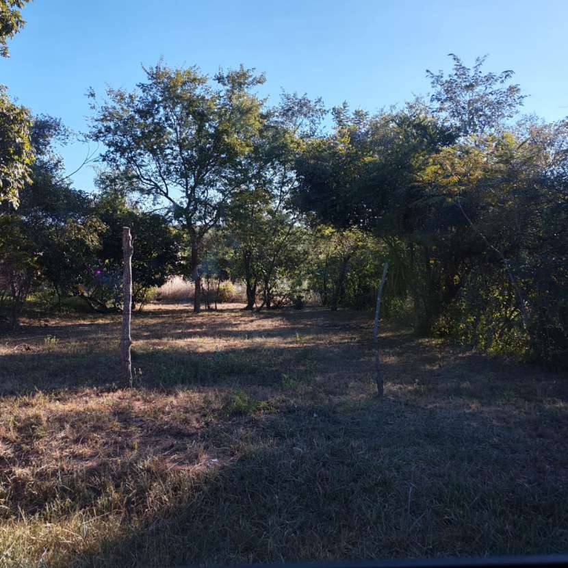 Imagen 5 de Terreno en Altos
