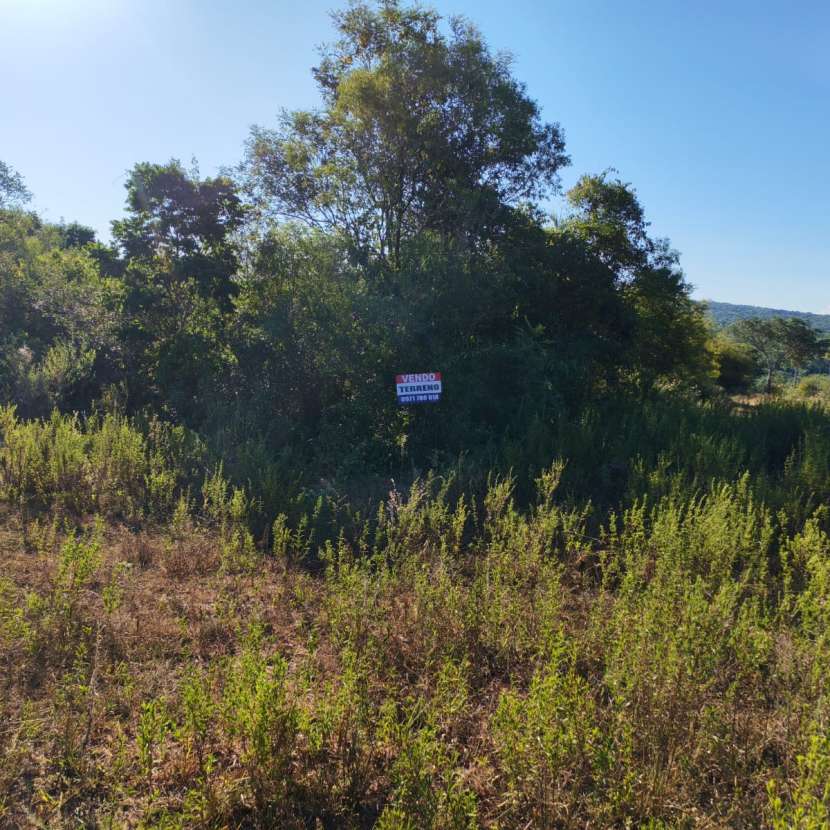 Imagen 4 de Terreno en Altos