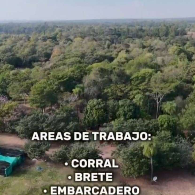 Imagen 8 de Casa quinta en Loma Grande Nueva Colombia id 45243