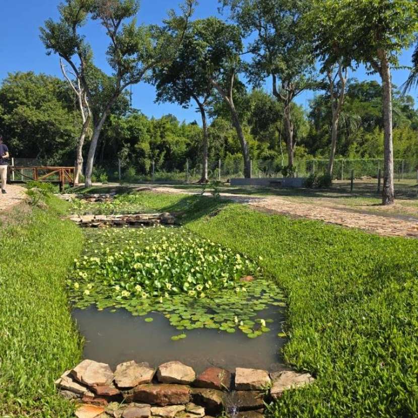 Imagen 6 de Terreno 424,56 m2 barrio cerrado Areguá Forest Country Residence id 48280