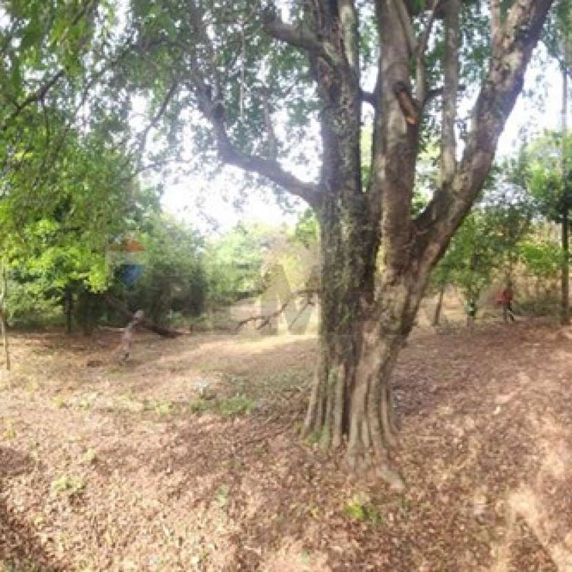 Imagen 4 de Terreno en Itauguá Ybyratý