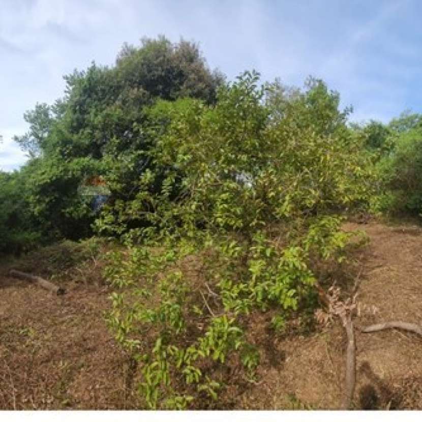 Imagen 6 de Terreno en Itauguá Ybyratý