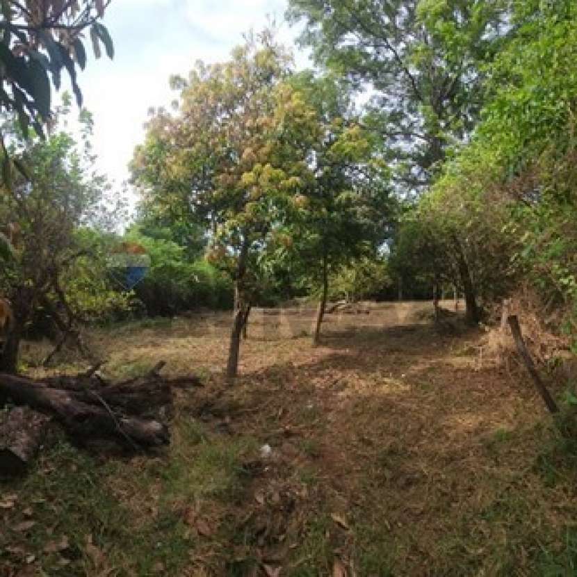 Imagen 7 de Terreno en Itauguá Ybyratý