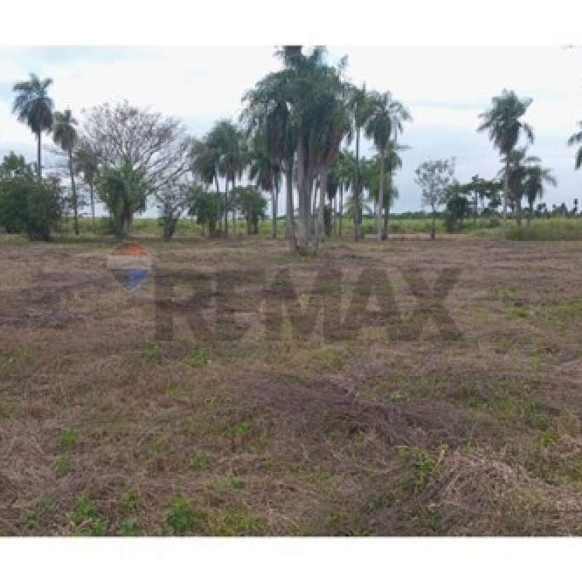 Imagen 3 de Terreno en Itauguá