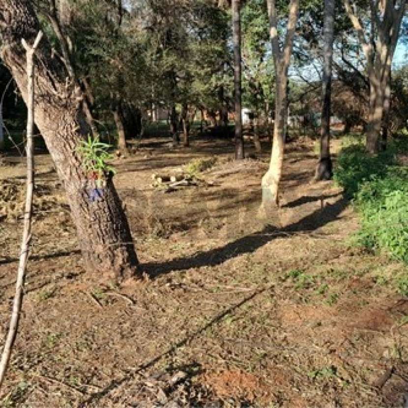 Imagen 3 de Terreno en Luque