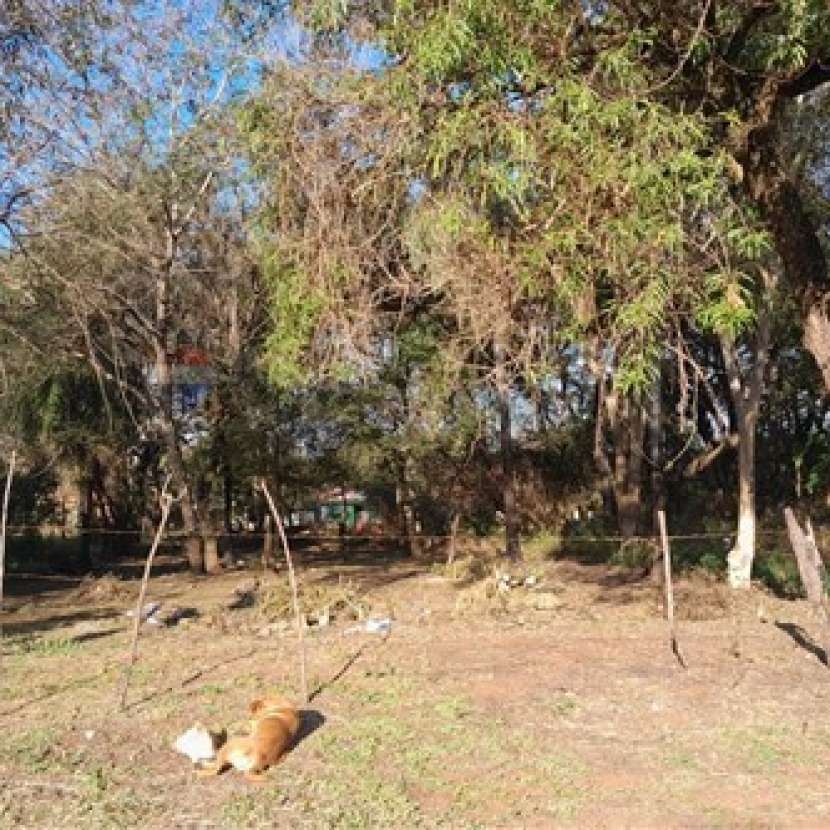 Imagen 2 de Terreno en Luque