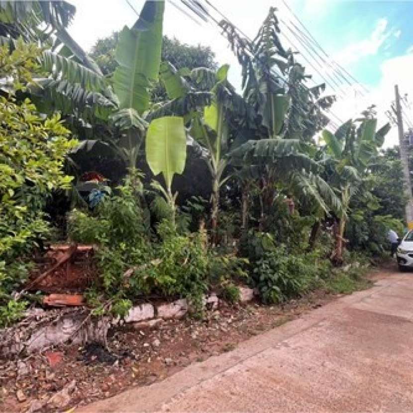 Imagen 1 de Terreno en Fernando de la Mora zona Sur