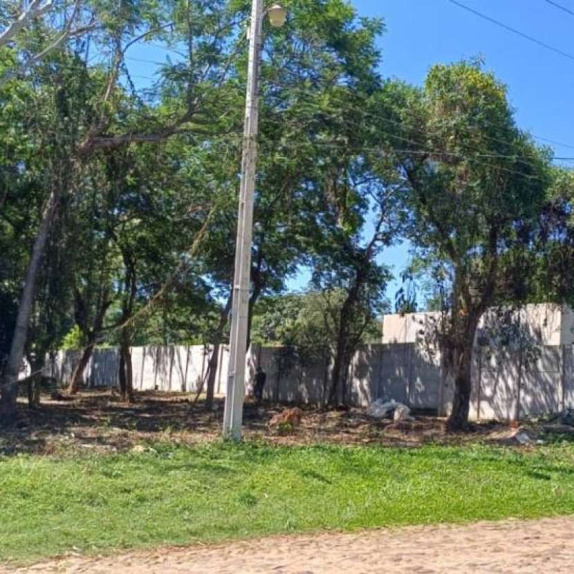Imagen 3 de Terreno de 1.156 m2 en San Bernardino