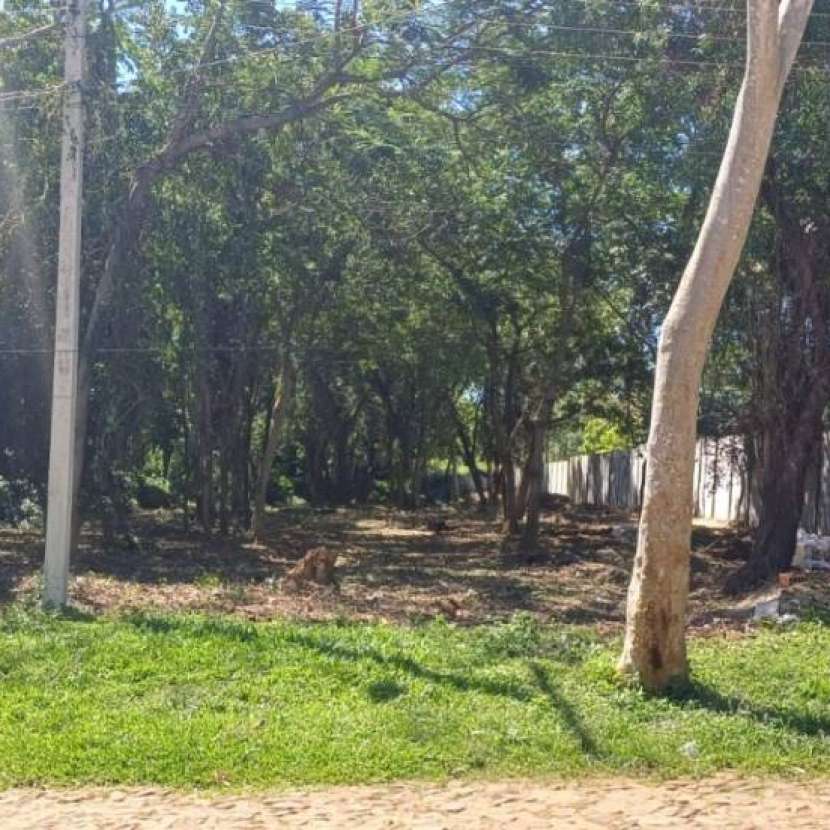 Imagen 2 de Terreno de 1.156 m2 en San Bernardino