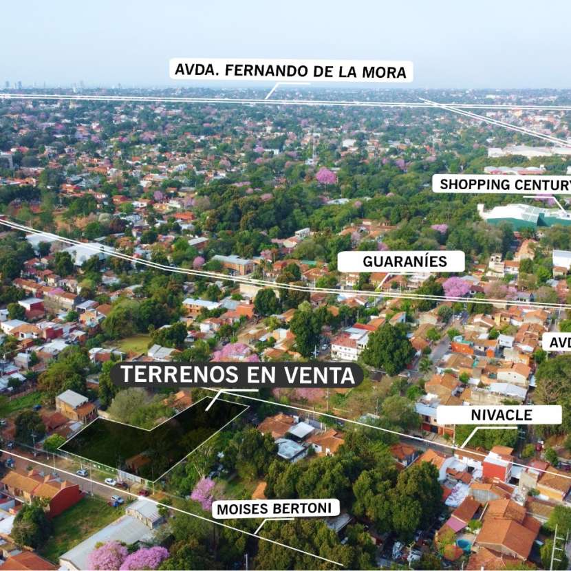 Imagen 3 de 6 terrenos juntos en Lambaré