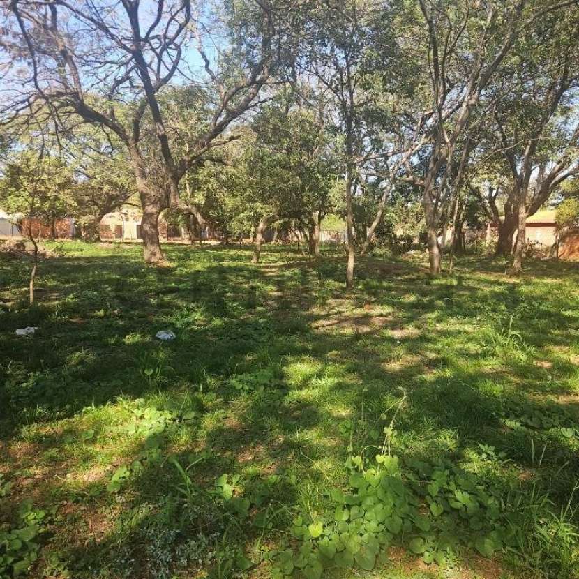 Imagen 2 de Terreno en Luque zona Rakiura