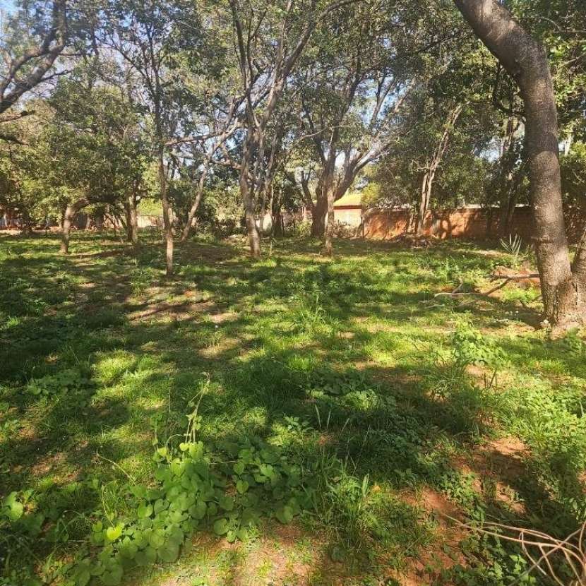Imagen 1 de Terreno en Luque zona Rakiura