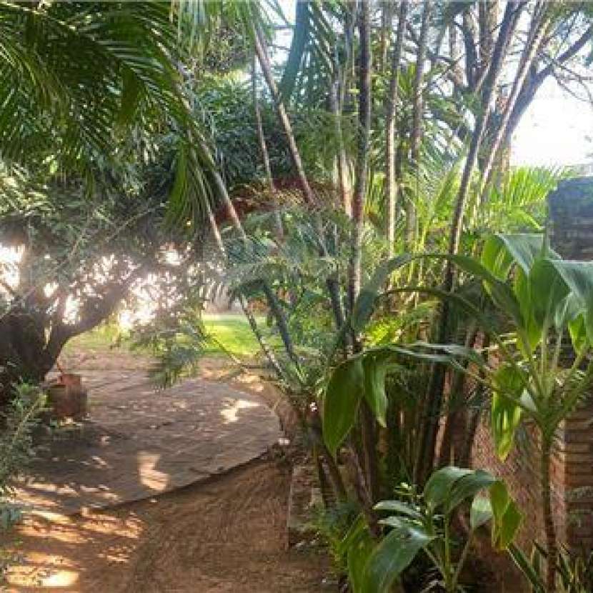 Imagen 7 de Casa en Asunción Barrio Mariscal López